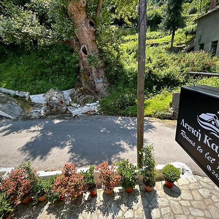 Готель Λευκή Καμέλια Anilio Pelion Екстер'єр фото