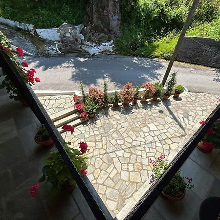Готель Λευκή Καμέλια Anilio Pelion Екстер'єр фото