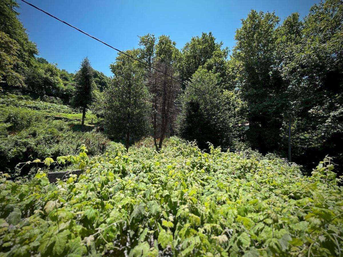 Готель Λευκή Καμέλια Anilio Pelion Екстер'єр фото