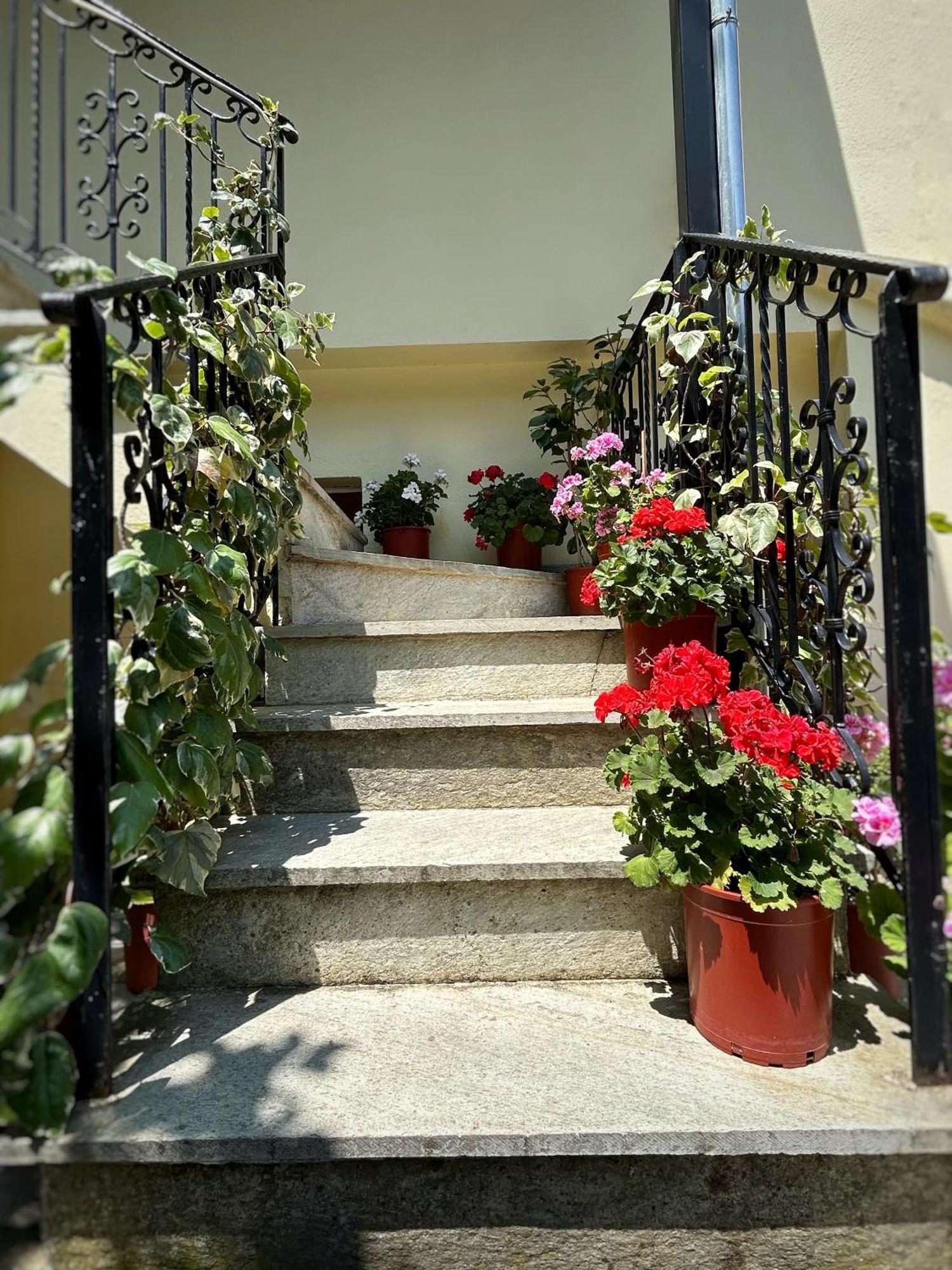 Готель Λευκή Καμέλια Anilio Pelion Екстер'єр фото