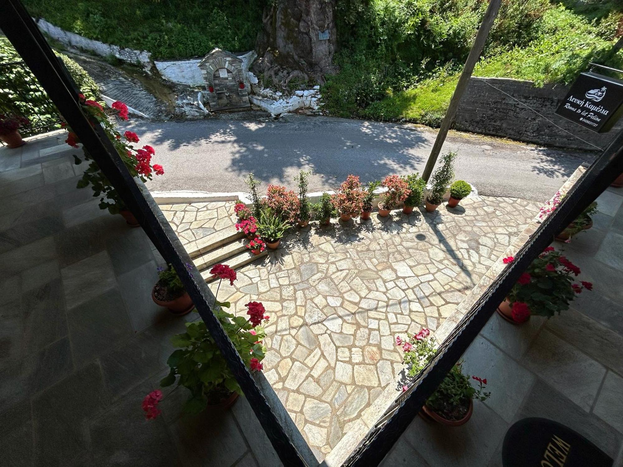 Готель Λευκή Καμέλια Anilio Pelion Екстер'єр фото